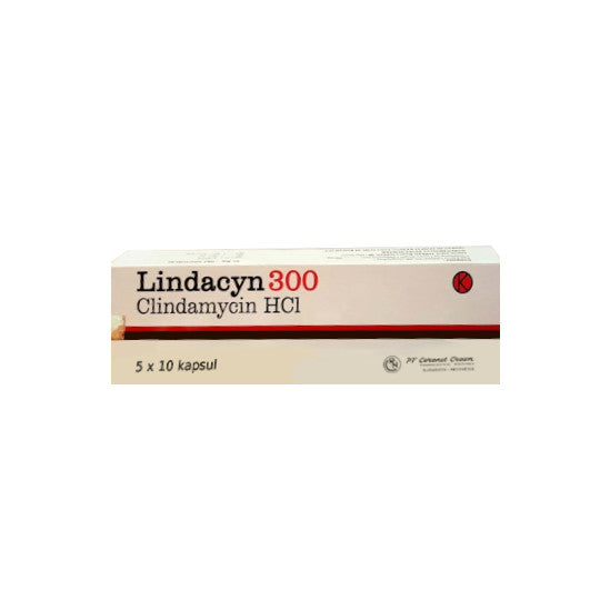 Lindacyn 300 mg 10 Kapsul