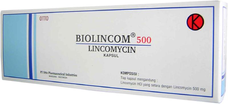 Biolincom 500 mg 10 Kapsul