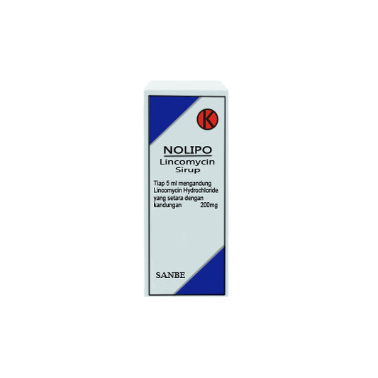 Nolipo 250 mg/5 ml Sirup 60 ml